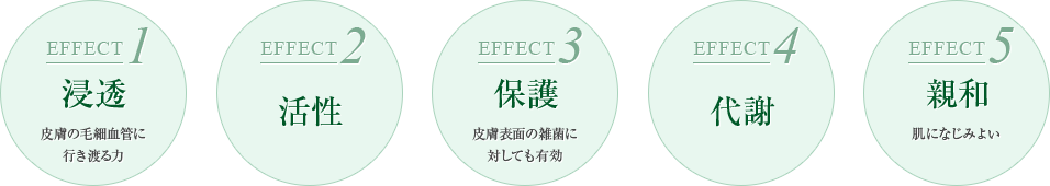 EFFECT1 浸透 皮膚の毛細血管に行き渡る力　EFFECT2 活性　EFFECT3保護 皮膚表面の雑菌に 対しても有効　EFFECT4 代謝 EFFECT5 親和 肌になじみよい